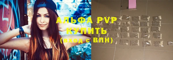 шишки Няндома