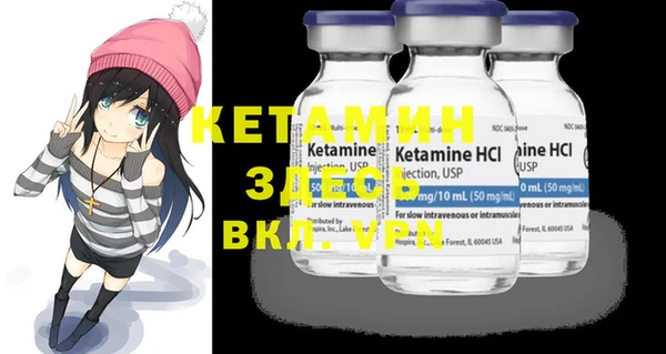 шишки Няндома