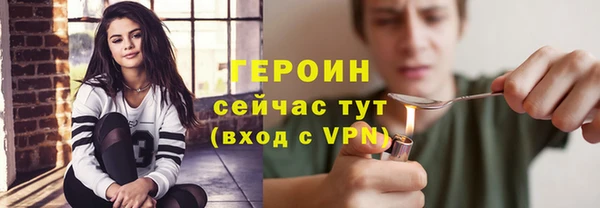 шишки Няндома
