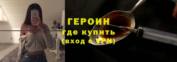 шишки Няндома