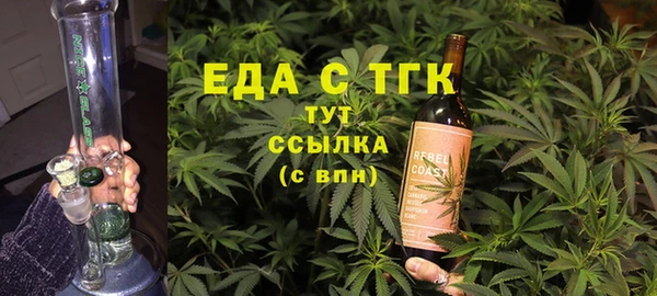 шишки Няндома