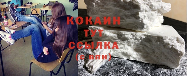 шишки Няндома