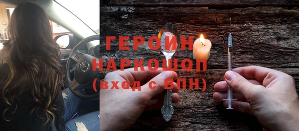 шишки Няндома