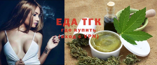 шишки Няндома