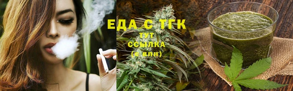 шишки Няндома