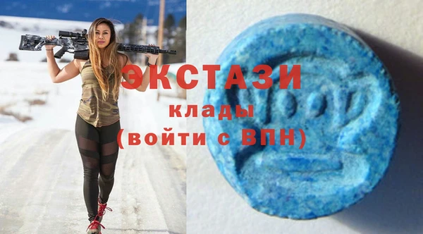 шишки Няндома